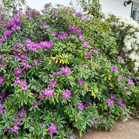 Hauterive  Les Abelias B&B 외부 사진