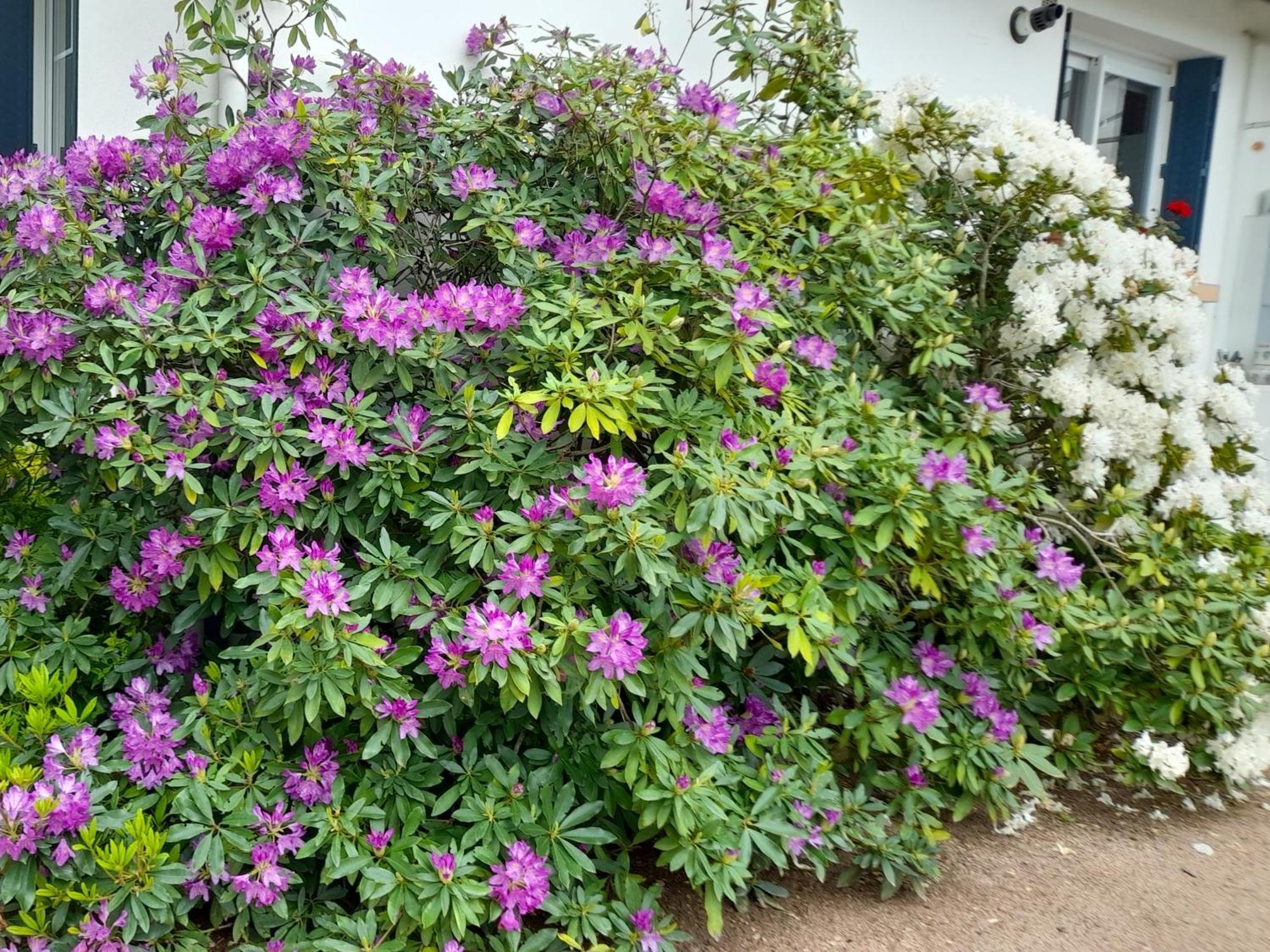 Hauterive  Les Abelias B&B 외부 사진