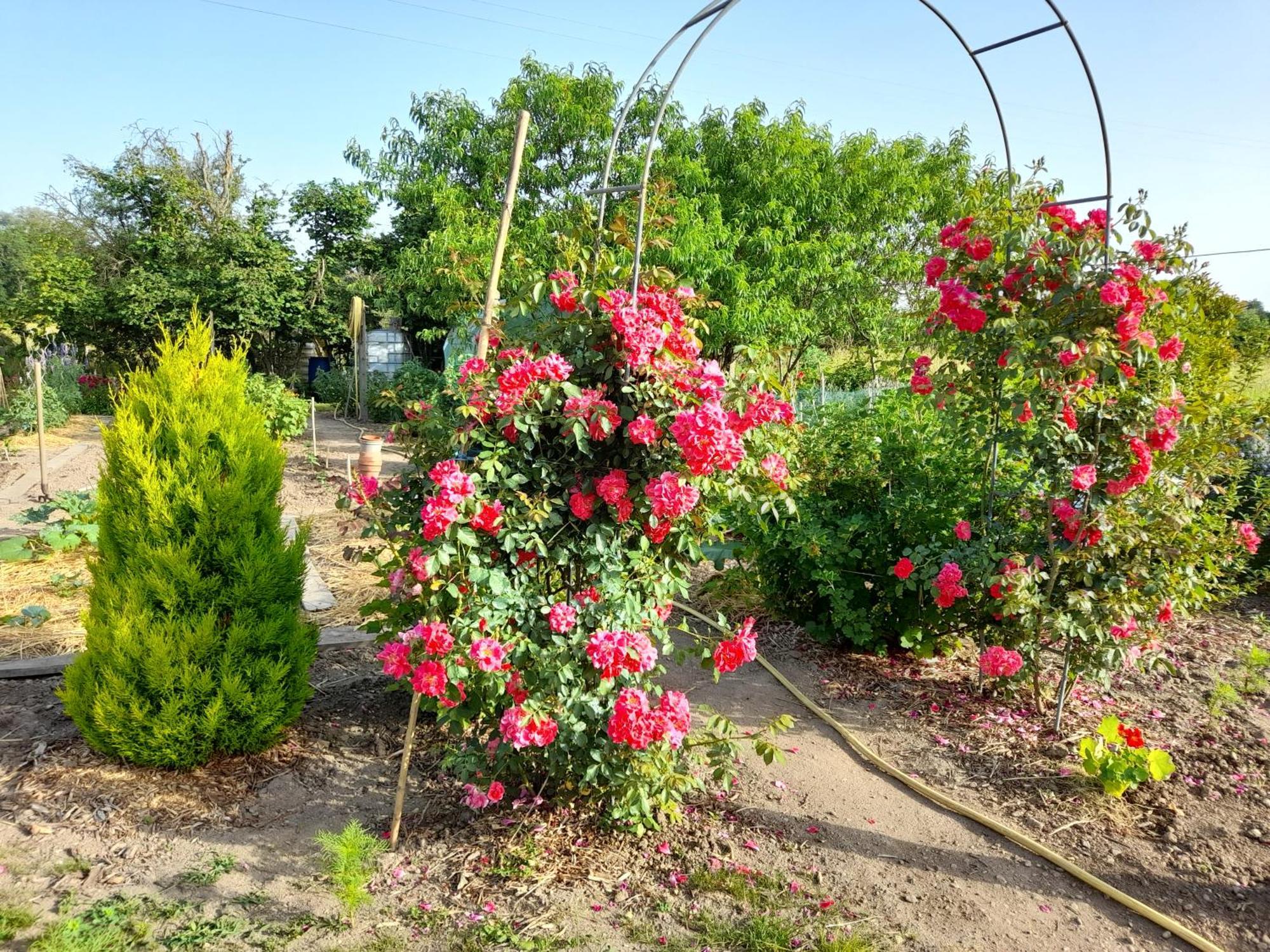 Hauterive  Les Abelias B&B 외부 사진